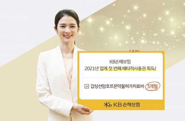 (자료=KB손보)