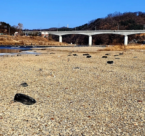 (사진=김명호기자)