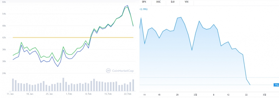 2021년2월24일 기준 연초 이후 테슬라·비트코인 가격 차트. (자료=코인마켓캡)