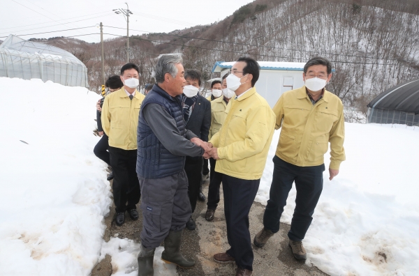 이성희 농협중앙회장(오른쪽 두번째)은 4일 폭설피해를 입은 강원 인재군과 양구군을 찾아 피해농업인을 위로하고 복구지원을 위해 현장 상황을 점검했다. (제공=농협)