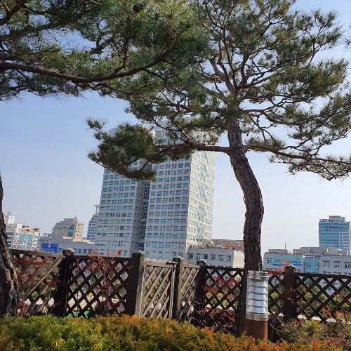 대전시청사 전경 (사진=정태경 기자)