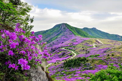 산청 관광사진 공모전 입상작 - 황매산 철쭉/산청군