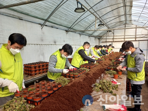 NH농협카드 직원들이 23일 경기도 수원시 화훼 농가를 찾아 화분 식재 등 일손을 돕고 있다. (사진=NH농협카드)