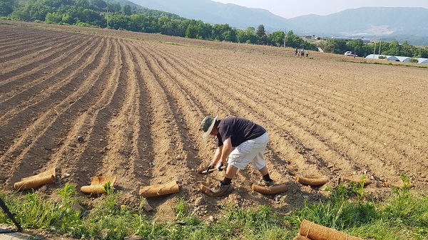 (사진=양구군)