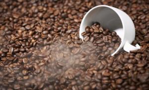 농식품부 "8월부터 커피생두 가격하락 폭 더 커질 것"