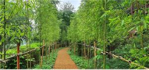 “월미공원 피톤치드 숲길 걸어보세요”… 사계절 정원·대나무길 조성