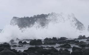태풍 ‘힌남노’에 日 오키나와 피해 속출… 3천여가구 정전