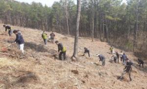 농협 하동군지부 ‘희망의 숲’ 나무심기 캠페인