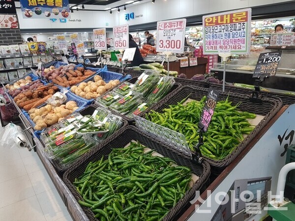홍천군, 고향사랑기부제 '위기브' 도입... 참여 문턱 낮춘다 - 뉴스 썸네일 이미지