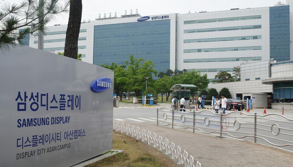 중국에 기술 유출 '삼성D 전 임직원 4명' 구속영장 기각