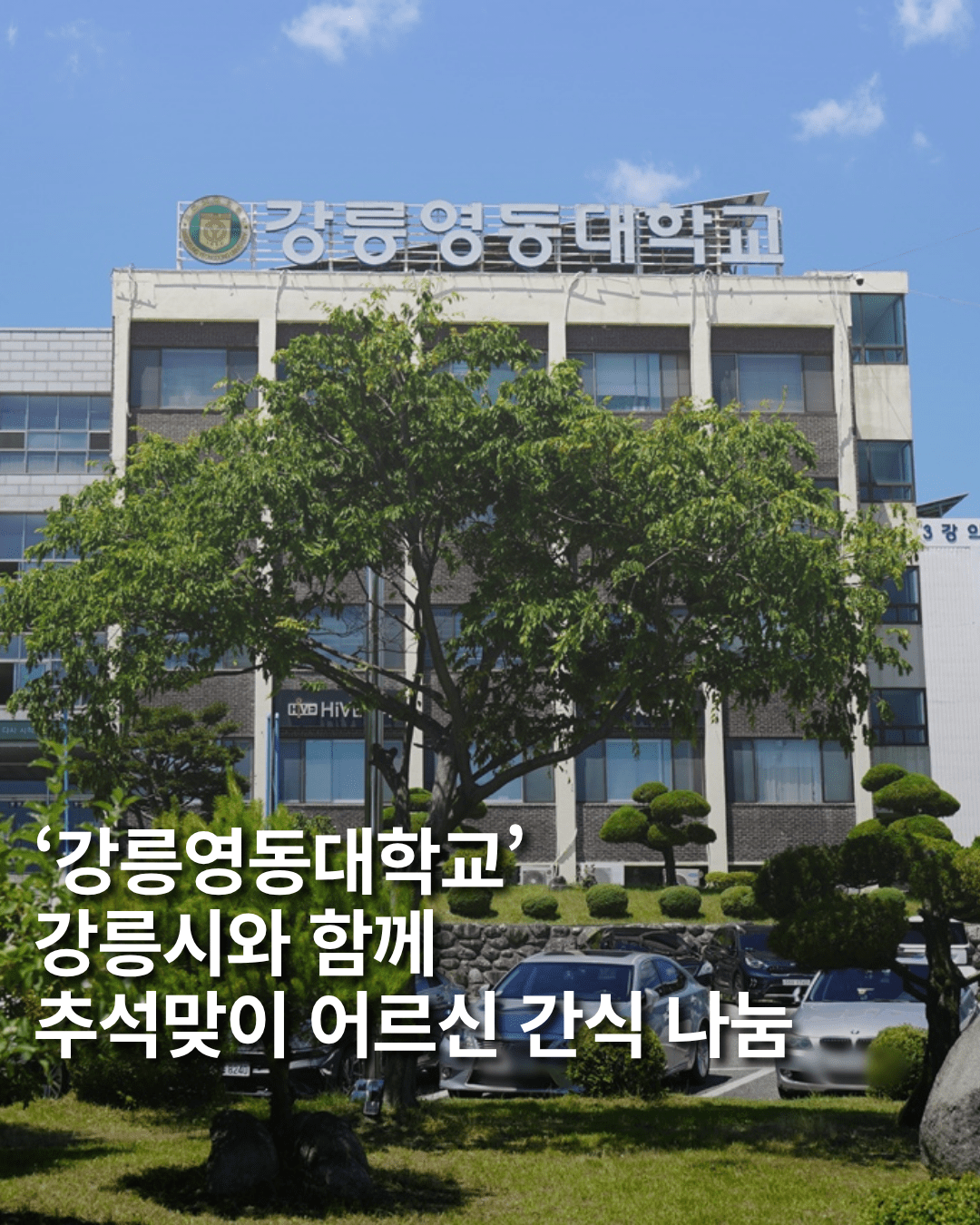 [카드뉴스] 강릉영동대, 추석 맞이 어르신 간식 나눔 - 뉴스 썸네일 이미지
